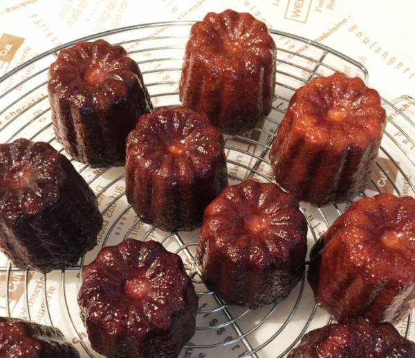 第6回お台場パン祭り開催! 厳選カレーパンや人気店の高級食パン、地元パンが大集結