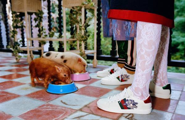 グッチから、新年を祝う子ブタモチーフの限定コレクション全35アイテムが登場!