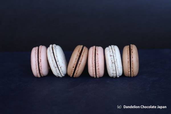 ダンデライオン・チョコレートがHAY TOKYO内にカフェをオープン! ホットチョコレートやガトーショコラが楽しめる