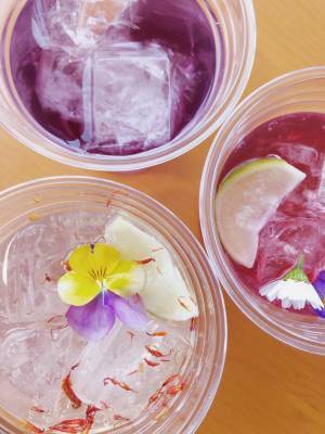 横浜赤レンガ倉庫にマーガレットの丘が出現! 花の“ハート型アーチ”が迎えるフラワーガーデンイベント