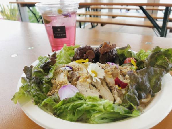 横浜赤レンガ倉庫にマーガレットの丘が出現! 花の“ハート型アーチ”が迎えるフラワーガーデンイベント