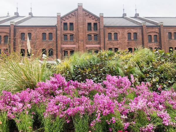 横浜赤レンガ倉庫にマーガレットの丘が出現! 花の“ハート型アーチ”が迎えるフラワーガーデンイベント