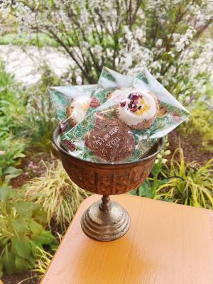 横浜赤レンガ倉庫にマーガレットの丘が出現! 花の“ハート型アーチ”が迎えるフラワーガーデンイベント