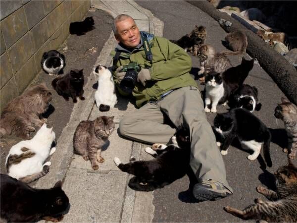 岩合光昭のねこ写真展が川崎市市民ミュージアムで開催! 島の猫シリーズなど約200点が一堂に