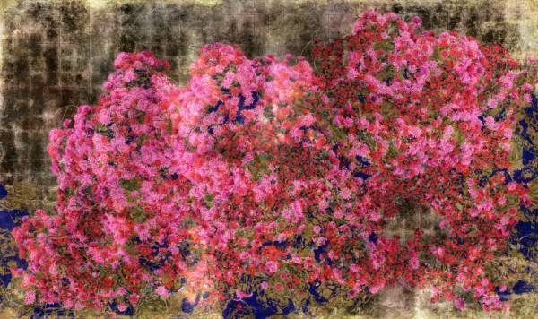 チームラボの個展「永遠の海に浮かぶ無常の花」が金沢21世紀美術館で8月開催