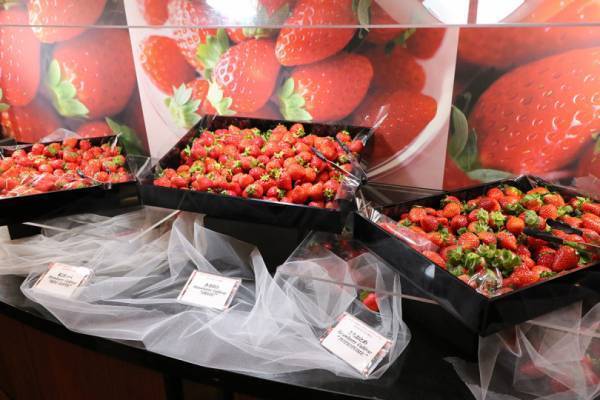 ホテルニューオータニ幕張、 GW限定で「ホテルでいちご狩り＆スーパースイーツビュッフェ」を開催!