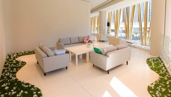 デイジーの花々に囲まれる、バリーカフェが期間限定オープン