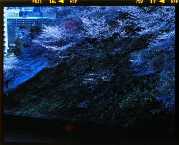 鈴木親の写真展「わたしの、東京」、天王洲のKOSAKU KANECHIKAで開催