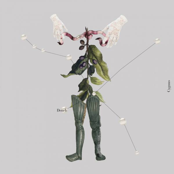 星座×ビンテージパールの個性豊かな美しさ。パスザバトンと神保真珠商店のコラボによるアクセサリーが販売