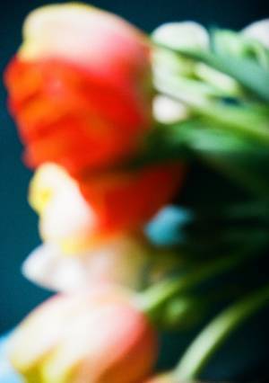 モデル服部恭平の写真家としての個展が表参道 ROCKETでスタート