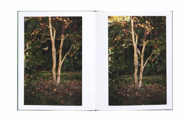 夢? 現実? 写真家テリ・ワイフェンバックが捉える鳥の住む世界【ShelfオススメBOOK】