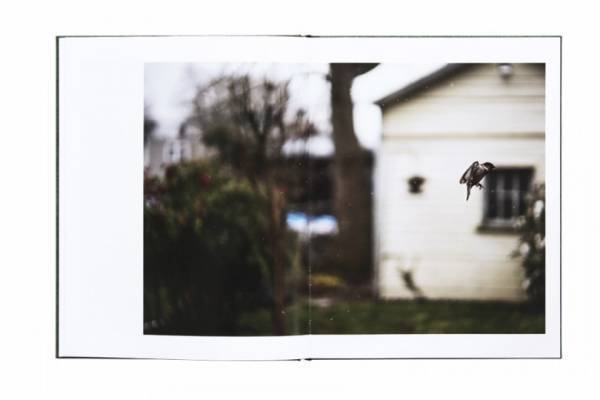 夢? 現実? 写真家テリ・ワイフェンバックが捉える鳥の住む世界【ShelfオススメBOOK】