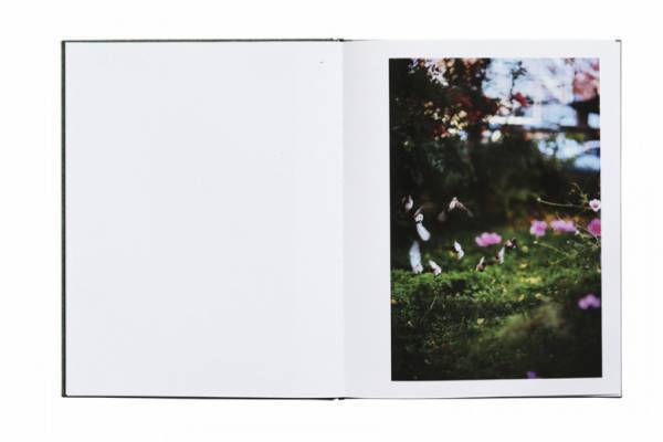 夢? 現実? 写真家テリ・ワイフェンバックが捉える鳥の住む世界【ShelfオススメBOOK】