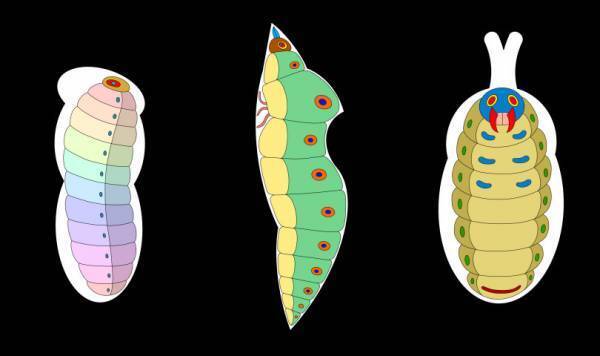 KAWSの巨大フィギアが出現、池袋に都内最大級のシネコンがオープン、21_21 DESIGN SIGHTの新企画展etc...週末何する? 【気になるTopics】