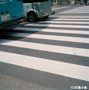 写真家・川島小鳥の写真展が品川で開催、谷川俊太郎の詩とともに展示