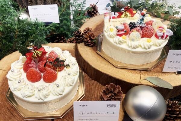 ウェスティンホテル東京、冬の森をイメージした丸太や切り株モチーフの11種のクリスマスケーキが登場