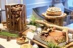 ウェスティンホテル東京、冬の森をイメージした丸太や切り株モチーフの11種のクリスマスケーキが登場