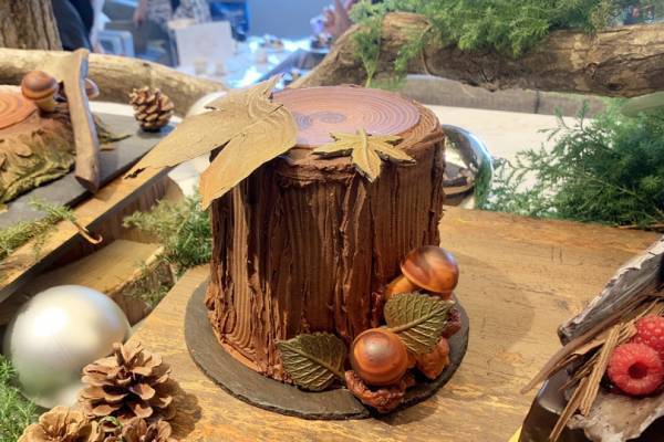 ウェスティンホテル東京、冬の森をイメージした丸太や切り株モチーフの11種のクリスマスケーキが登場