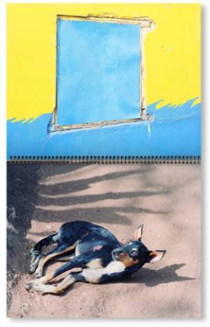 シャネル・ネクサス・ホールで個展を開催したヴァサンタ・ヨガナンタン作品集【ShelfオススメBOOK】