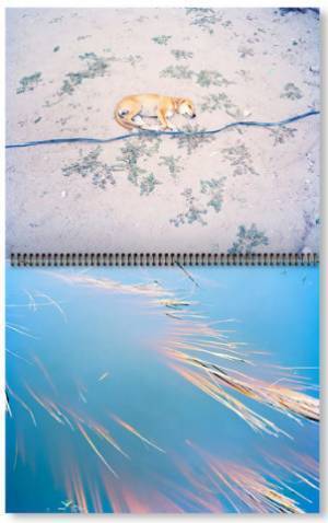 シャネル・ネクサス・ホールで個展を開催したヴァサンタ・ヨガナンタン作品集【ShelfオススメBOOK】