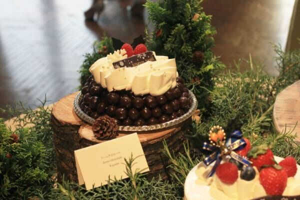 見た目、可愛い! 味、サプライズ! アンダーズ 東京のクリスマスケーキ【2019年クリスマスケーキ】