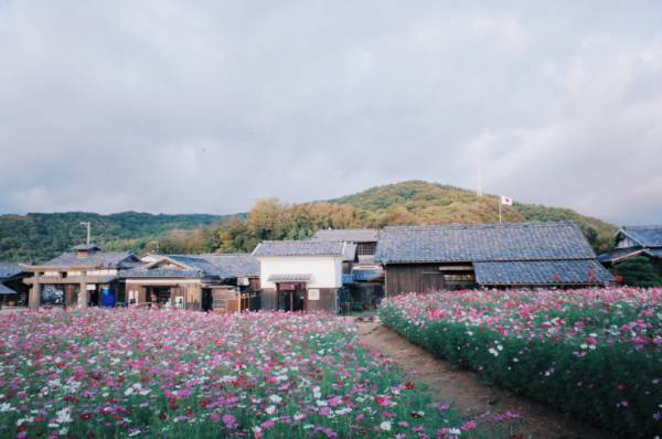 アートが満ち溢れた、瀬戸内国際芸術祭に行って思ったこと【EDITOR'S BLOG】