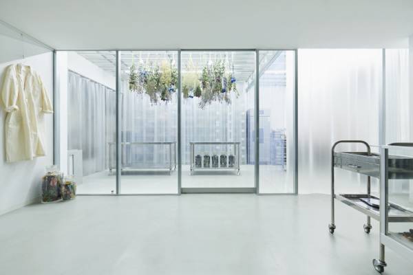 「エデンワークス」フラワーアーティスト、篠崎恵美の10年間の軌跡を辿る企画展が開催