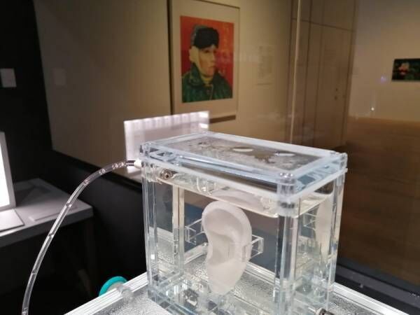DNAから再現する“ゴッホの左耳”。森美術館でアート・建築・バイオの「未来と芸術展」、開幕