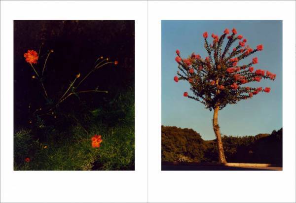 新世代を担う写真家ジェイミー・ホークスワースのフォトと作家ジョーン・ディディオンの言葉【ShelfオススメBOOK】