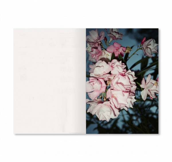 リナ・シェイニウスによるによる自費出版写真集シリーズすべてを1セットに【ShelfオススメBOOK】