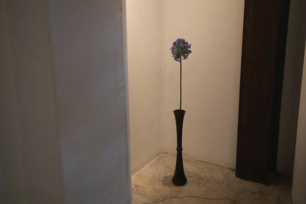 週末喫茶部、表参道「櫻井焙茶研究所」へ。五感で楽しむ日本のティーカルチャー【EDITOR'S BLOG】