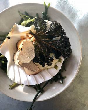 危険エリアから最もホットな地区へ大変貌! 感度の高い人々が集まる“ペッカム”がアツい【ロンドンの旅vol.3】