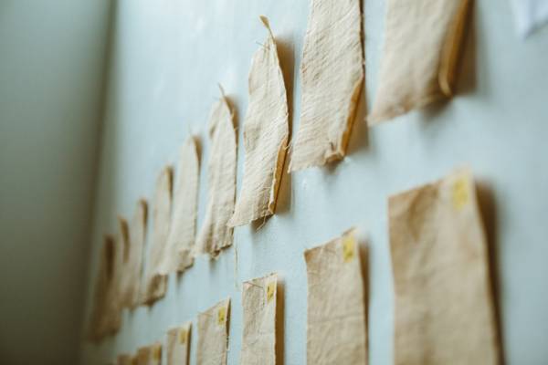 代々木上原のNo.で“花とコーヒー”をテーマにした展示を開催