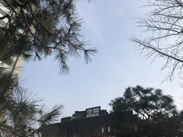 週末韓国トリップ! cafe onionとアラリオミュージアムへ。パンと珈琲と建築を楽しむ【EDITOR'S BLOG】