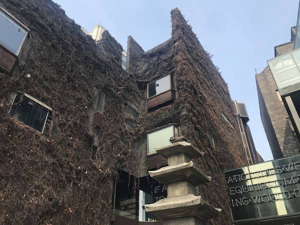 週末韓国トリップ! cafe onionとアラリオミュージアムへ。パンと珈琲と建築を楽しむ【EDITOR'S BLOG】