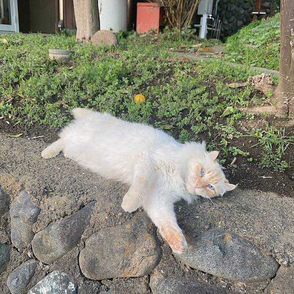 「ritsuko karita」のアトリエから【インタビュー】Vol.2