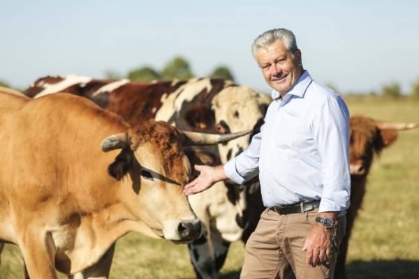 フルーティーな白ワインにも。ベイユヴェールからプチサイズの半生チーズケーキが登場