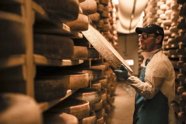 フルーティーな白ワインにも。ベイユヴェールからプチサイズの半生チーズケーキが登場