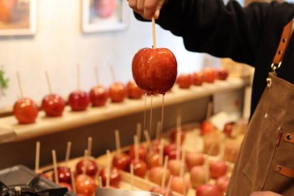「恋つづ」にも登場した代官山で行列のできるCandy appleのりんご飴をお取り寄せ!