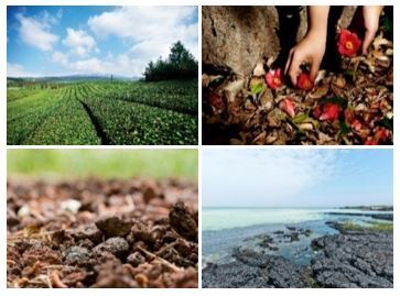 人気シリーズのノーセバム ラインから、夏にぴったりのスキンケアアイテムが限定発売