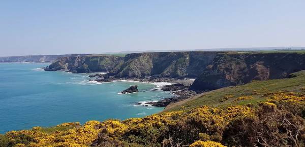 UKで今人気のブルー色のジン。飲み方で色の変化が楽しめるクラフトジン登場