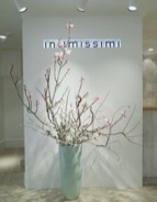 ランジェリーブランドの Intimissimi (インティミッシミ )が、渋谷文化村通り店にアートスペースをオープン