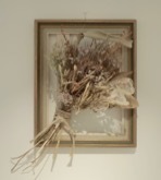 ランジェリーブランドの Intimissimi (インティミッシミ )が、渋谷文化村通り店にアートスペースをオープン