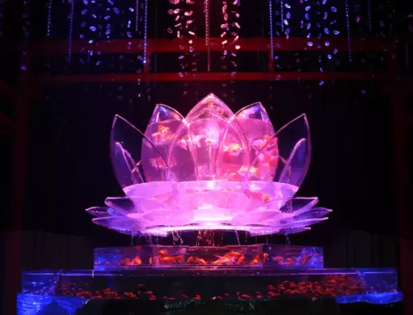 遂に常設化! アートアクアリウム美術館が2020年8月 東京・日本橋にオープン