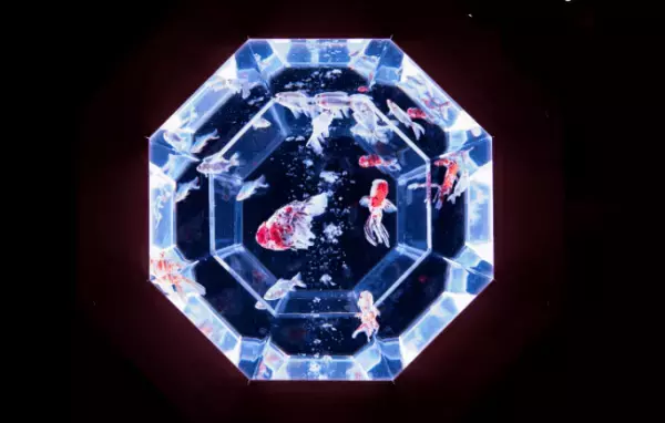 遂に常設化! アートアクアリウム美術館が2020年8月 東京・日本橋にオープン