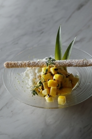 ウェスティンホテル東京の昼と夜で異なる表情を持つ夏のプレミアムパフェを堪能