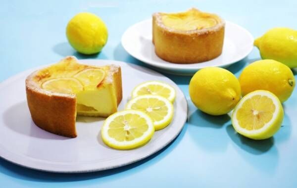 ねこの形のチーズケーキ専門店「ねこねこチーズケーキ」から瀬戸内レモンを使用した夏季限定フレーバーが登場