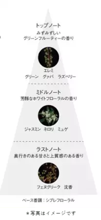 遺伝子レベルの肌の可能性に着目し、さらなる進化へ。ポーラから新「B.A」誕生