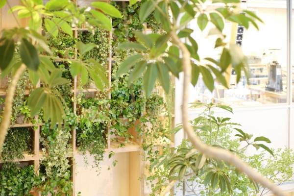 ブルーボトルコーヒー 中目黒カフェビル内にフラワーショップ「ex. flowershop & laboratory」「Lifft」がオープン