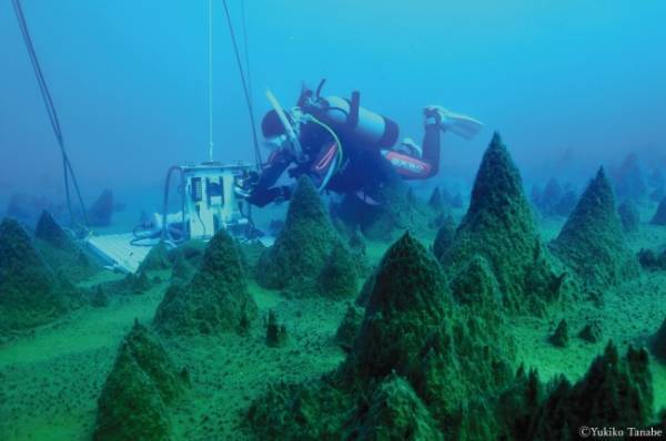 セイコー プロスペックスから南極の「スカルブスネス」に着想を得たグリーンが印象的な数量限定モデルを発売